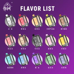 HEBAT喜貝  10000口一次性/拋棄式電子煙-充電+高級續航💖